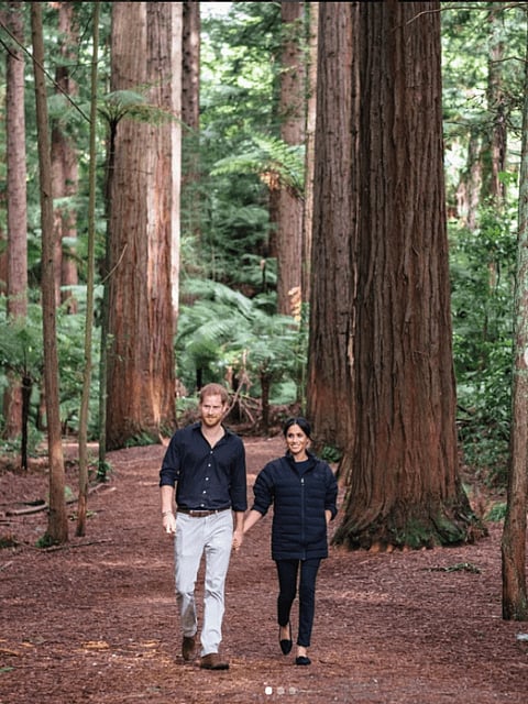 Prince Harry's Photography Shows Wife Meghan Markle's Baby Bump