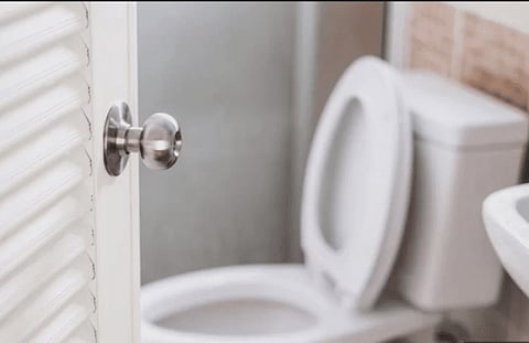 World Toilet Day: The Thing You Must Do After Going To The Bathroom