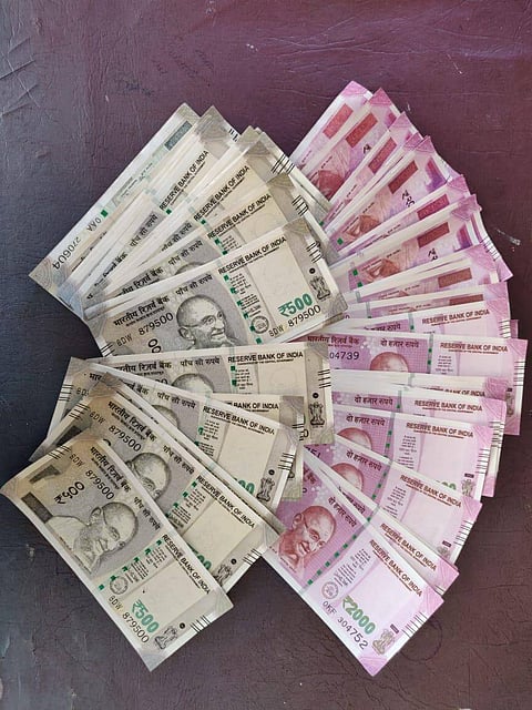 BSF apprehends Fake Indian Currency Notes (FICN ) racketeer in Dhubri district