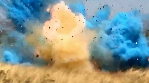 Gender reveal party goes wrong in Arizona, caused a damage of more than $8 million!