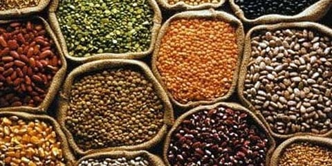 Tripura : Scientist Discovered Three New Varieties of Pulses