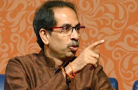 Raise tigress killing in cabinet: Uddhav Thackeray’s fiat to Sena Ministers
