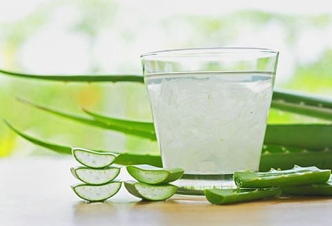 Benefits Of Using Aloe Vera