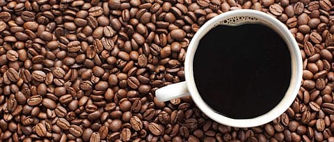 Caffeine therapy can boost brain development in preemies