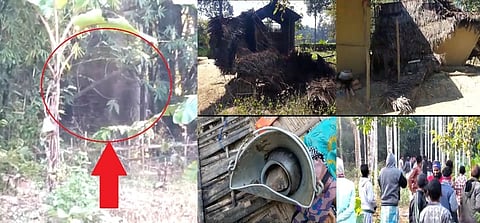 Man-Animal Conflict: Wild Elephants Terrorise People in various parts of Assam