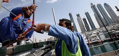 Over 28,500 Indian Workers Died in Gulf Nations Since 2014