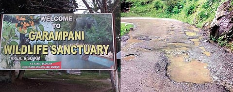 Potholes on NH-39/AH-1 road near Garampani Wildlife Sanctuary lead to rise in Road Crash Deaths: Reports