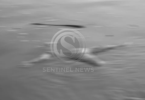 Body recovered under Mysterious Circumstances in Tezpur