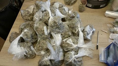 15 Kg Cannabis Seized From Maa Kamakhiya Lodge In Kotabari