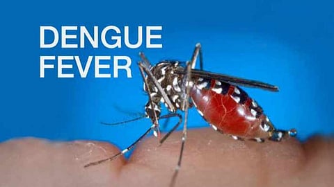 Genes predicting severity of dengue identified