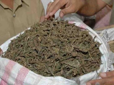 15 kg ganja seized by ADC of Chirang Ringsar Basumatary from the house of Gouri Chouhan