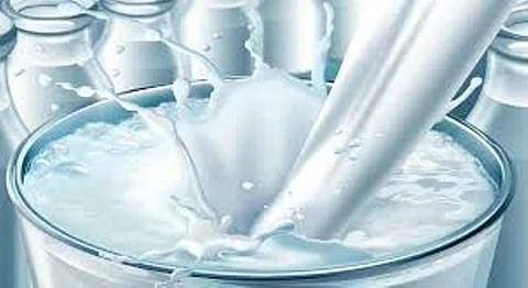 Five Milk Samples Sent To Laboratory