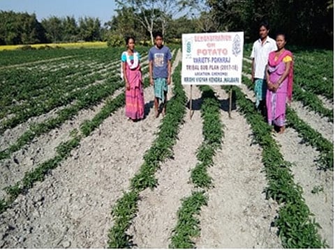 Padmawati Boro – A Tale of Challenges and Victory