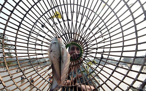 The Spirit and Flavours of Magh Bihu