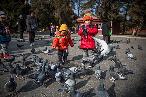 China faces ‘unstoppable’ population decline: Study