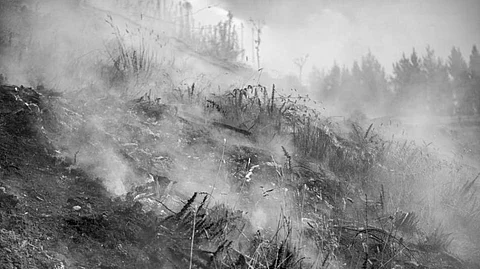 Thousands evacuated after New Zealand wildfire