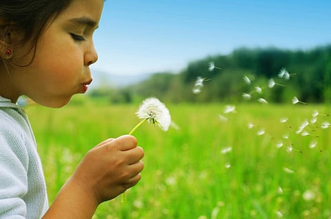 Green childhood may improve mental health