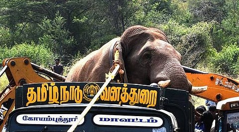 No capturing of Chinna Thambi: Massive protest against forest department in Tamil Nadu