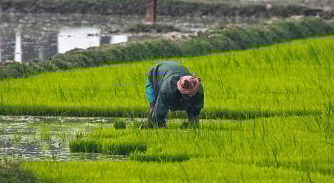 Tripura gears up to execute scheme for farmers