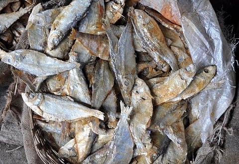 Rapid expansion of dry fish market in Jagiroad causes concern
