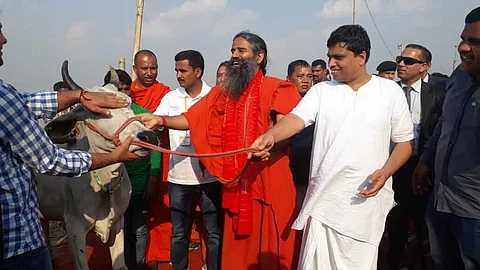 Baba Ramdev distributes 800 cows to poor people in Chirang