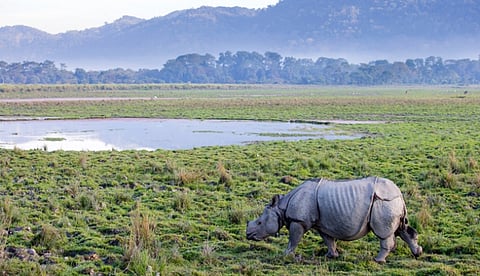 Around 26,997,916 domestic & foreign tourists visited Assam since 2014 to 2018: State Tourism Minister