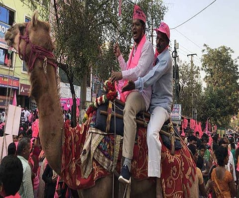 EC bans live animals in election campaign