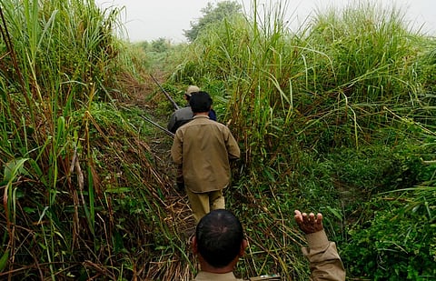 Fierce Gun Battle broke out at Kaziranga, No casualties reported