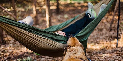 Study Says Sleeping In On Weekend Won't Repay Your Week's Sleep Debt