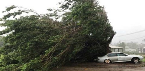 Cyclone Trevor hits Australia’s northern coast
