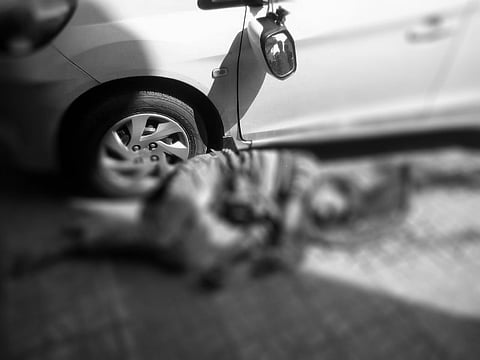 Man dies after falling from three-storey building in Guwahati