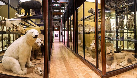 Dr Robin Banerjee Natural History Museum inaugurated