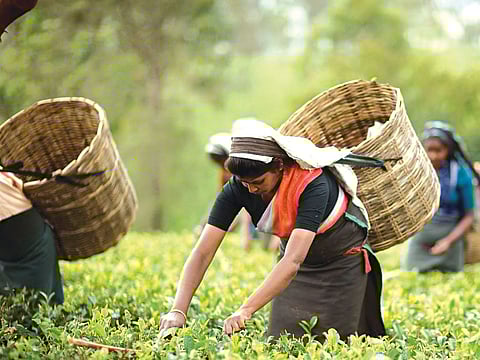 Two small tea growers from Assam awarded by Aspee Agricultural Research and Development Foundation