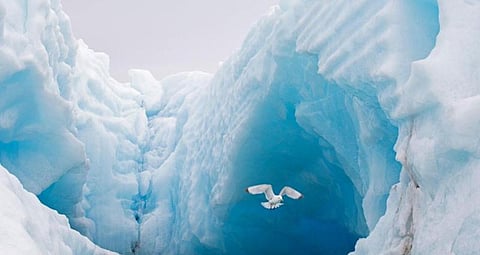 Air Temperatures Behind Arctic Climate Change