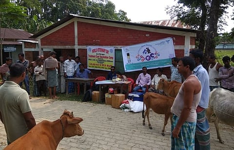 World Veterinary Day observed in Hailakandi district