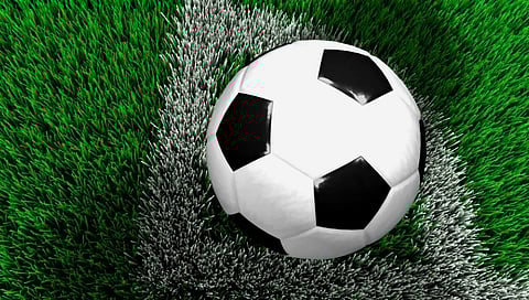 Dortmund, Hoffenheim victorious in German Bundesliga