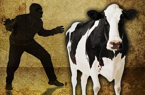 Three cattle thieves held from different places in Merapani