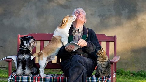 Pets help boost health of older people