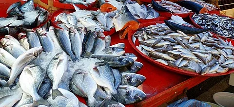 Egg-laden fish openly sold in Sivasagar markets despite a ban under the Assam Fishery Rule 2005