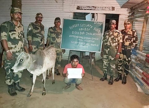 Two cattle smugglers apprehended by troops of Border Security Force of Guwahati Frontier