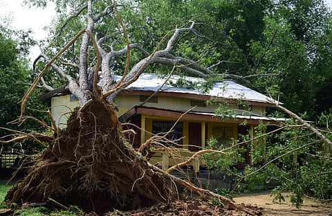 Cyclonic storm uproots thousands of trees and damages hundreds of houses in Kamrup district