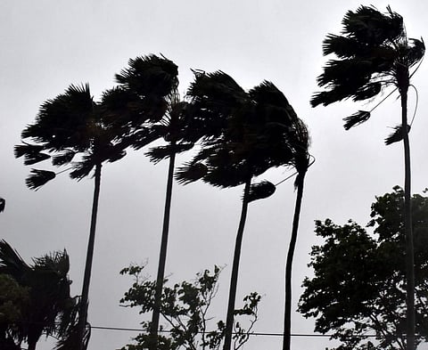 Rain lashes Tripura; houses damaged, trees uprooted