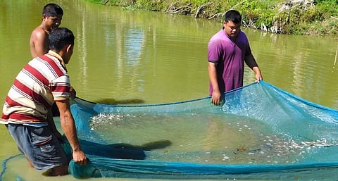 Zonal review meeting on fisheries held under World Bank-funded project, Assam in Barpeta