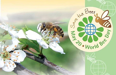 World Bee Day Celebrated At Byrnihat For Creating Awareness On The Buzzing Effects On The Ecosystem