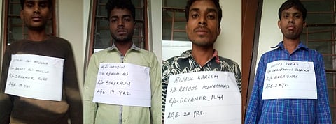 BSF apprehended four cattle smugglers from border areas of South Salmara, 10 cattle heads recovered