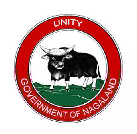 Director of Information and Public Relations visits Peren: NAGALAND DIARY