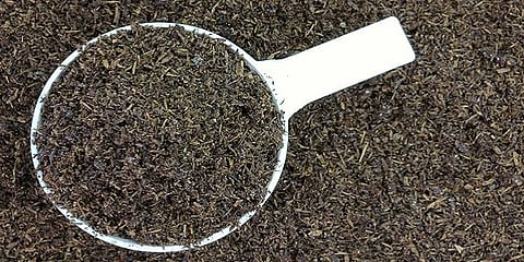 Workshop on vermicompost for agri farmers of Darrang by Indian Institute of Entrepreneurship