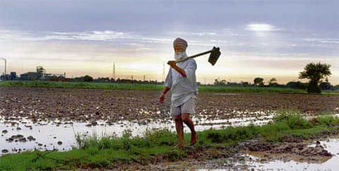 10 Punjab districts to go completely out of groundwater in the coming 20 years