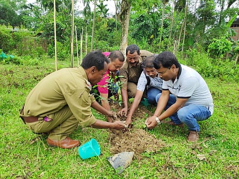 Sapling plantation drive conducted in Panidehing Bird Sanctuary in Demow