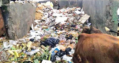 Dustbin Becomes Eyesore For Dibrugarh Residents